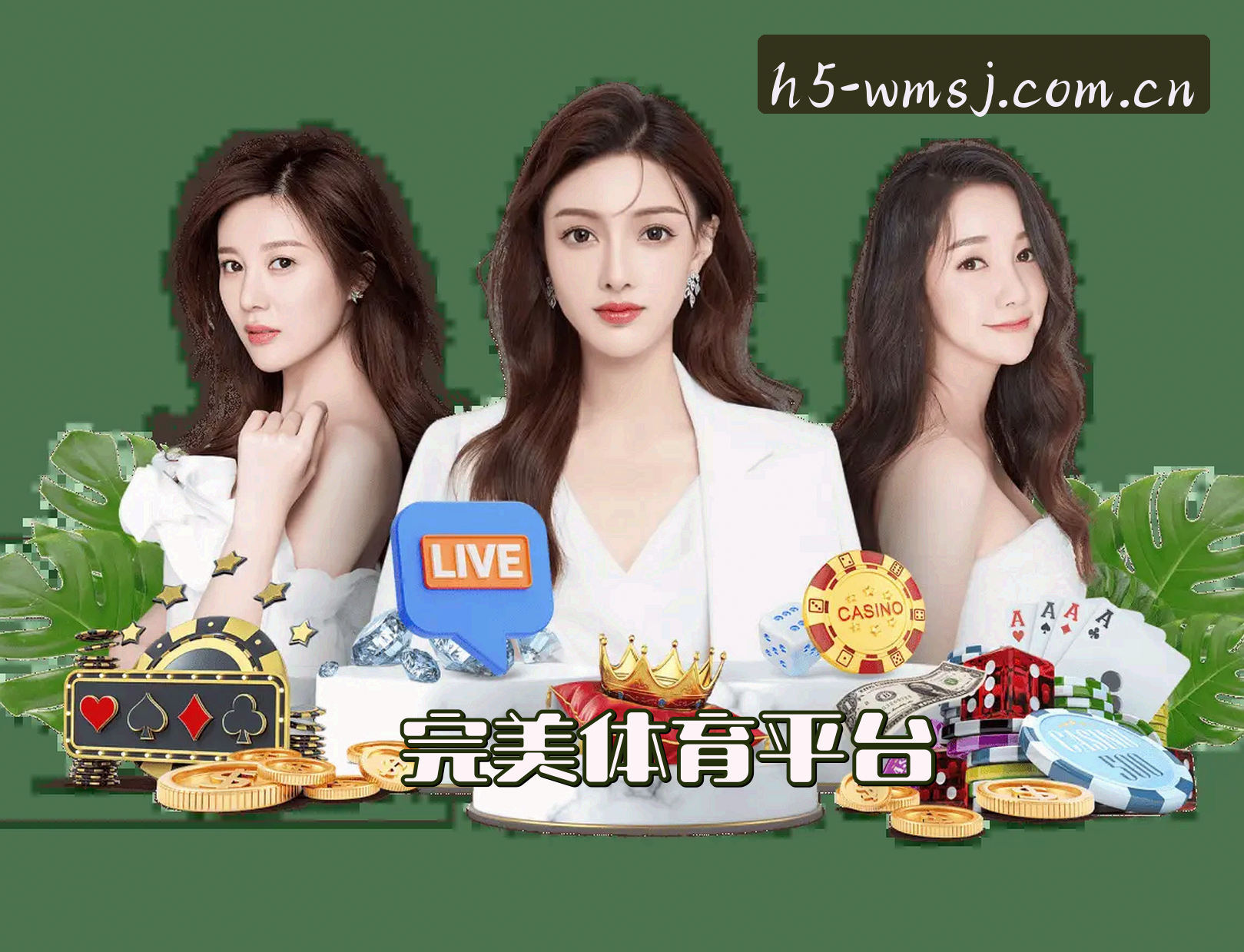 关于完美体育APP「中国」官方网站 - WMSJ